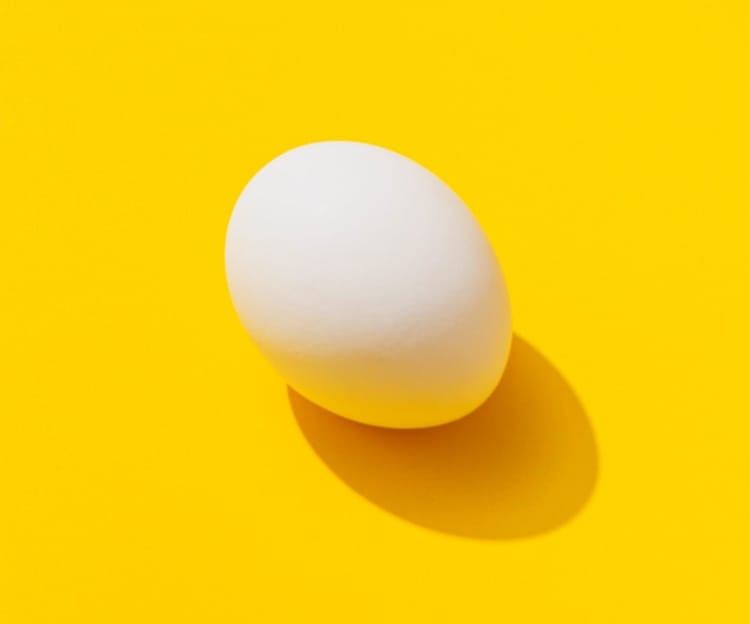 egg with a yellow background